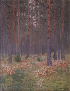 Kapradiny, 1894