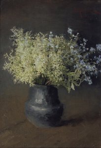 Divoké fialky a pomněnky, 1889