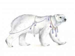 Královská polární majestátnost