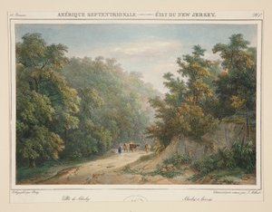 Severní Amerika – stát New Jersey. č. 49, pl. 1