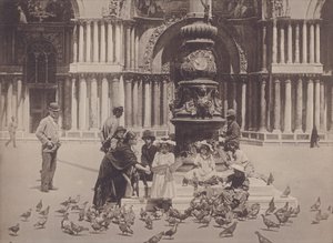Piccioni (černobílá fotografie) od Italian Photographer