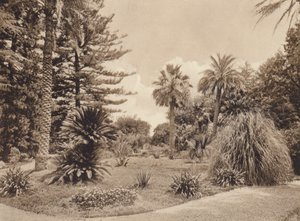 Sicílie / Sicílie: Villa Tasca, Palermo (čb fotografie) od Italian Photographer