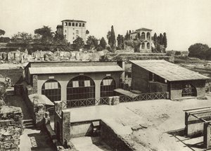 Palatine, rod Livie od Italian Photographer