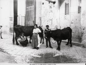 Prodejce mléka ze života v Neapoli od Italian Photographer Italian Photographer