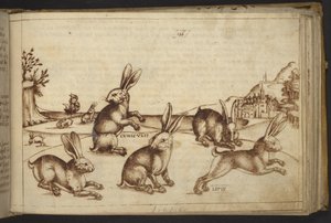 Přidat. 82955, f.165 Rabbits (