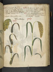 Přidejte MS 41623 f.117r 
