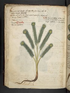 Přidejte MS 41623 f.39v 