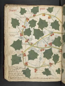 Přidejte MS 41623 f.53v 