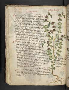 Přidejte MS 41623 f.54v 