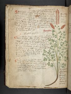 Přidejte MS 41623 f.65v 