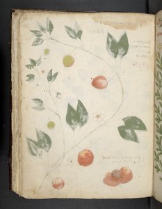 Přidejte MS 41623 f.70v 
