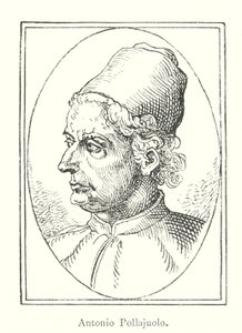 Antonio Pollajuolo (rytina) od Italian School