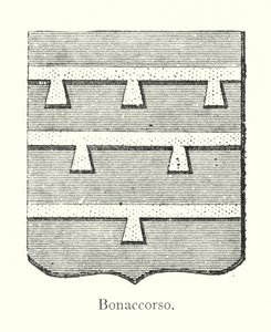 Bonaccorso (rytina) od Italian School