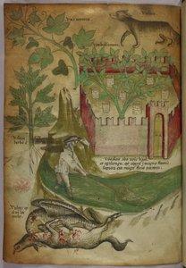 Botanická a zvířecí ilustrace rostlin, ohrazené zahrady, vlka, muže lovícího v potoce se sítí a supa klovajícího mršinu zvířete, asi 1440 (tuš a barva na pergamenu) od Italian School