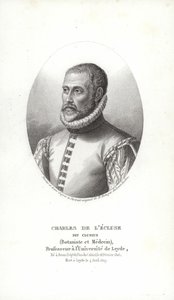 Carolus Clusius od Italian School