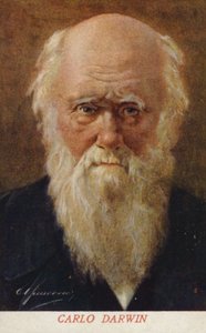 Charles Darwin (1809-1882), anglický přírodovědec (barevná litografie) od Italian School