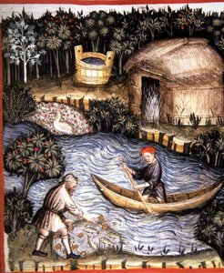 Fol.82r Čerstvá ryba, ilustrace z 