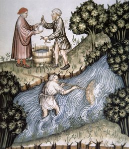 Fol.84r Rybaření, ilustrace z Tacuinum Santiatis Codex Vindobonensis od Italian School