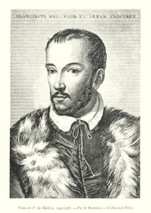 François Ier de Medici od Italian School