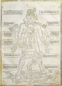 Ilustrace z 