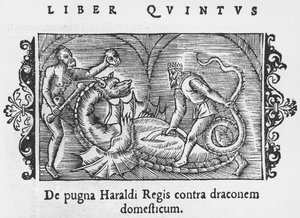 Král Harald bojující s drakem, ilustrace z Historie severních národů od Olause Magnuse (1490-1558), vydaná v Římě, 1555 od Italian School