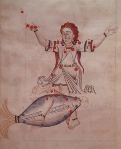 Ms.1036 The Constellation of Pisces, z „Knihy stálic“, latinský překlad Al-Sufi (903-986 n. l.) (na pergamenu) od Italian School