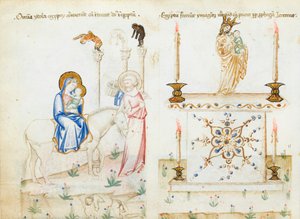 Ms 43-1950 fol. 3v Útěk do Egypta, ze Speculum Humanae Salvationis od Italian School