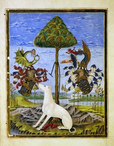 Paní 