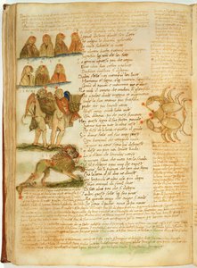 Paní Ital 483 P.4.7 f.156v Blíženci, Lev a Rak, z filmu „Dittamondo“ od Fazia degli Ubertiho (vellum) od Italian School
