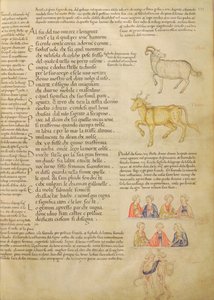 Paní Italien 87 fol. 171 Strana ilustrující astrologická znamení, z „De Civitate Dei, San Agostino“ (vellum) od Italian School
