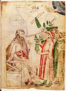 Paní Lat 6823 fol.1 Muži představující rostliny neznámému muži, z De Herbis od Manfreduse de Monte Imperiali od Italian School