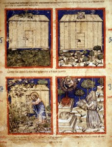 Noemova archa, miniatura převzatá z kodexu 212 (nebo Padovano Codice nebo Bible z Padovy) 1390-1400 Rovigo, Accademia dei Concordi od Italian School