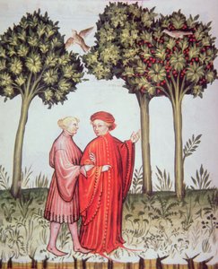 Nova 2644 fol.102v Dva přátelé spolu na procházce, z Tacuinum Sanitatis Codex Vindobonensis (vellum) od Italian School