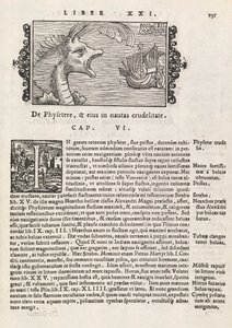 Strana 735 z Historie severu od Magnuse Olause, Řím 1565 (tisk a rytina) od Italian School