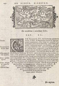 Strana 740 z Historie severu od Magnuse Olause, Řím 1565 (tisk a rytina) od Italian School