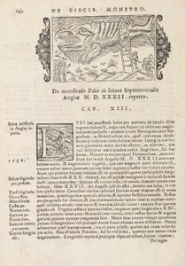 Strana 742 z History of the Northern Gentivus od Magnuse Olause, Řím 1565 (tisk a rytina) od Italian School