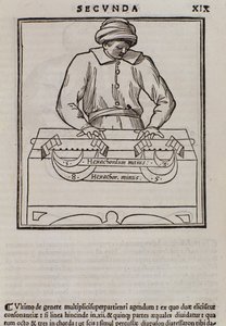Stránka z Musica theorica od Lodovica Foglianiho (1475?-1542) (nebo Ludovica Folianiho) hudebního teoretika od Italian School
