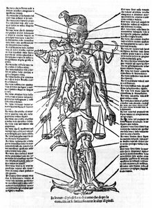 Deska představující lidské tělo s postavením všech orgánů a znameními zvěrokruhu, která jim svými astrologickými vlivy odpovídají. Plage čerpáno z „“ Recetoro di Galeno optio e probato a tutte le infirmita che accadeno a huomini e a donne di d od Italian School