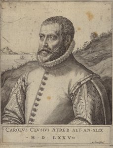 Portrét Carolus Clusius od Italian School