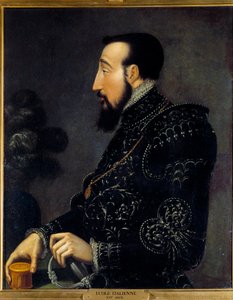 Portrét francouzského krále Jindřicha II. (1519-1559) Obraz italské školy. 16. století. Slunce 0,58x0,46 m Chantilly, muzeum Conde od Italian School