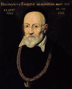 Portrét Hieronyma Fabricia