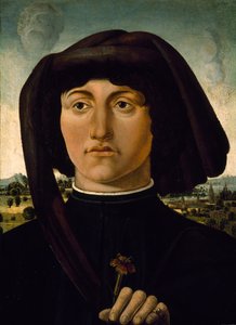 Portrét mladého muže s růžovým květem, cca 1475-85 (tempera na dřevě) od Italian School
