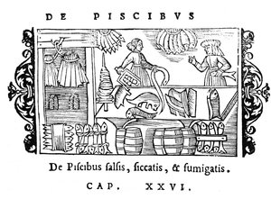 Solení, sušení a uzení ryb, ilustrace z Historia de Gentibus Septentrionalibus od Olause Magnuse (1490-1558), vydané v Římě, 1555 od Italian School
