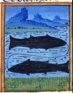 Znamení ryb. Italský horoskop, polovina 15. století. od Italian School