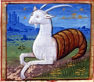 Znamení Kozoroha. Italský horoskop, polovina 15. století. od Italian School