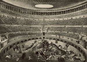Koloseum, Velká honička divoké zvěře (litho) od Italian School