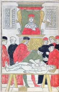 The Dissection, ilustrace z 