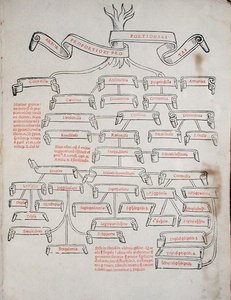 Strom proporcí, z knihy „De Divina Proportione“ od Lucy Pacioliho (asi 1445-asi 1514), vydaný v Benátkách od Italian School