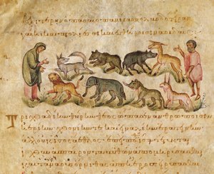Pojednání o mnoha druzích živočichů, kteří obývají zemi, ilustrace z Oppianovy Cynegetiky (tempera na pergamenu) od Italian School