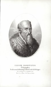 Ulisse Aldrovandi od Italian School
